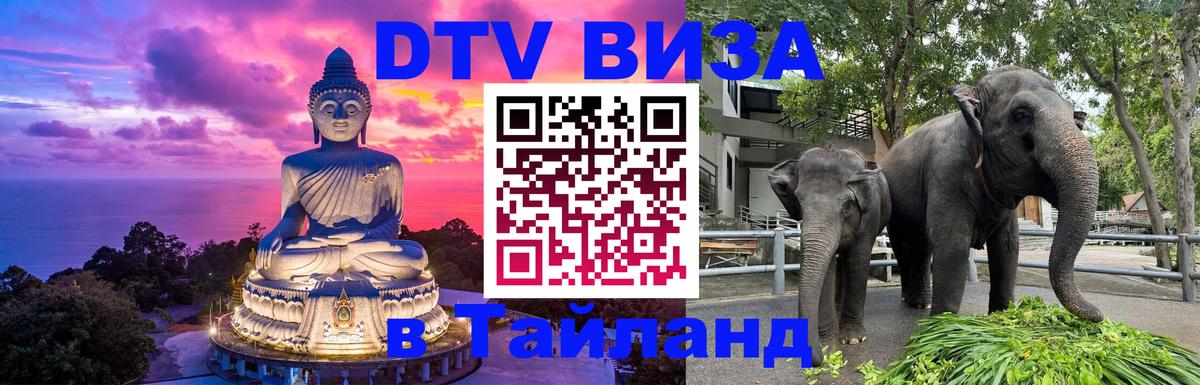 Сколько стоит DTV виза — актуальные цены, оформление даже без документов - Братск 